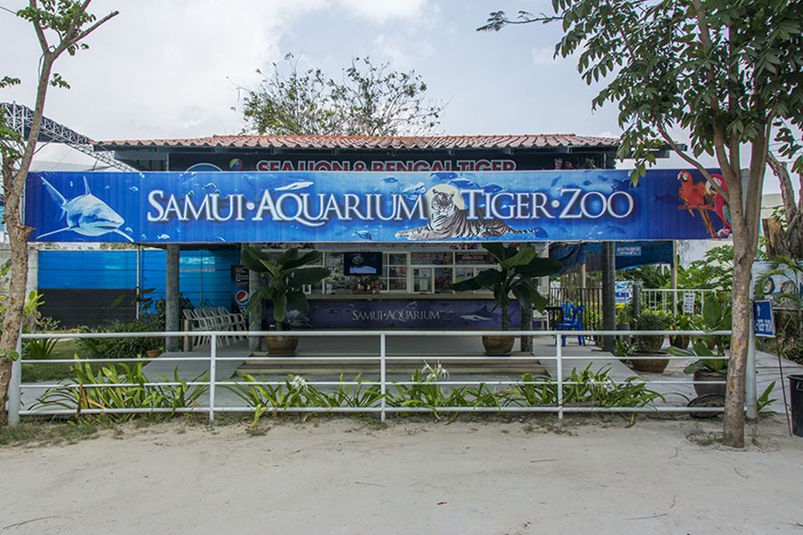 Samui Aquarium Tiger Zoo