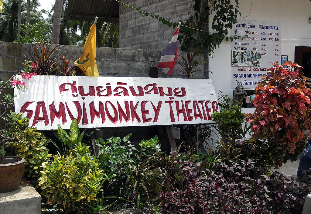 Samui Monkey Theater