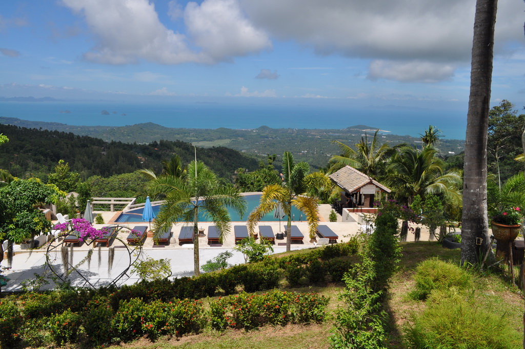 Вид на бассейн сверху