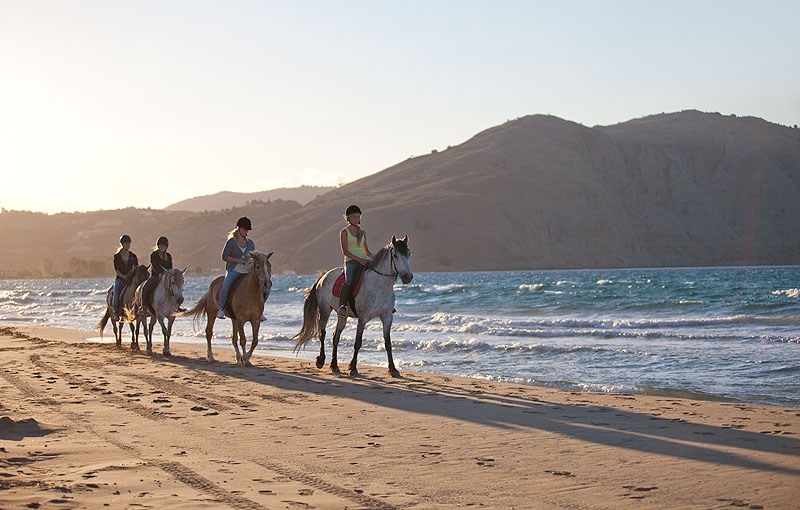 Конная езда на пляже Самуи