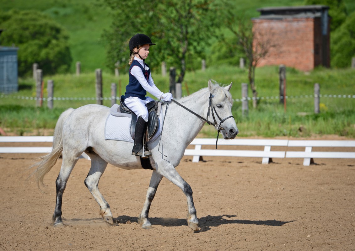 Школа конной езды на Самуи