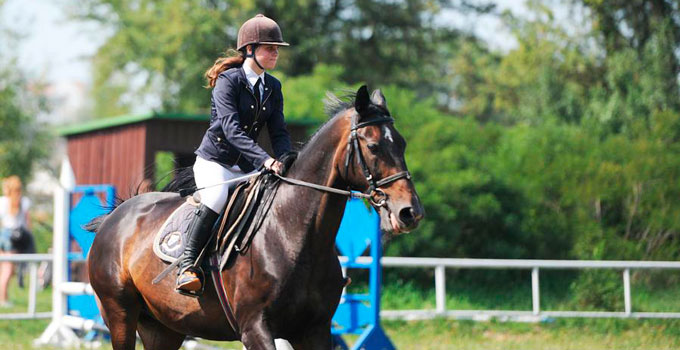 Конный инструктор