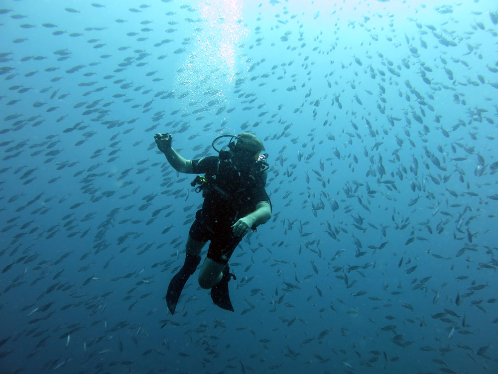 Дайвинг на Самуи